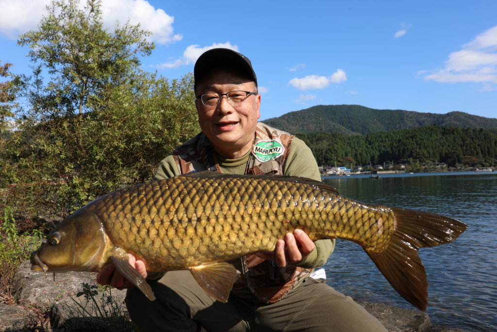 ストレッチドビー ぜひ 鯉釣り師の方へ (^-^) | vendee-rehaussement.com