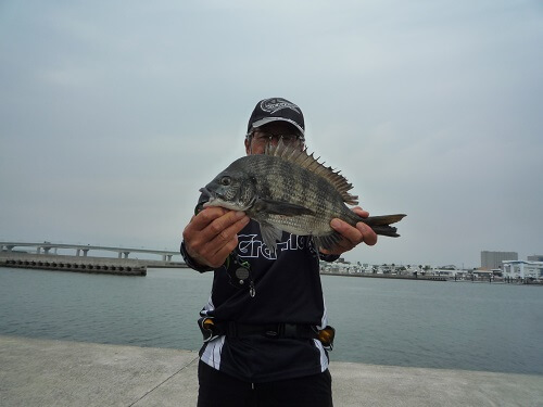 2021年06月22日（火曜日）｜クロダイ・チヌ（ウキダンゴ釣り）｜愛知県 – 常滑港｜ウキ紀州・ダンゴ｜フィールドテスター中村 輝夫