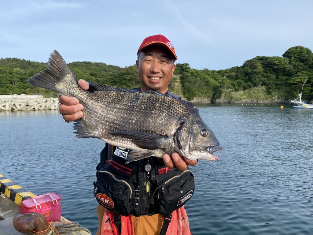 GTO様専用 石鯛 活バフンウニ 釣りエサ用 5キロ 2箱 クール便