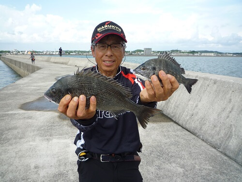 2021年06月25日（金曜日）｜クロダイ・チヌ（ウキダンゴ釣り）｜愛知県 – 常滑港｜ウキ紀州・ダンゴ｜フィールドテスター中村 輝夫