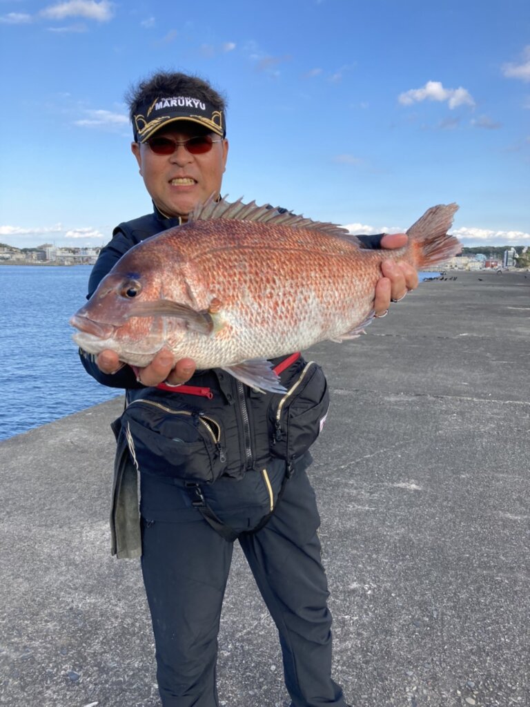 GTO様専用 石鯛 活バフンウニ 釣りエサ用 5キロ 2箱 クール便