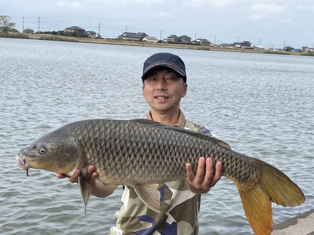 自在鉤の特大鯉　92センチ 60C8234F-1917-4747-8704-