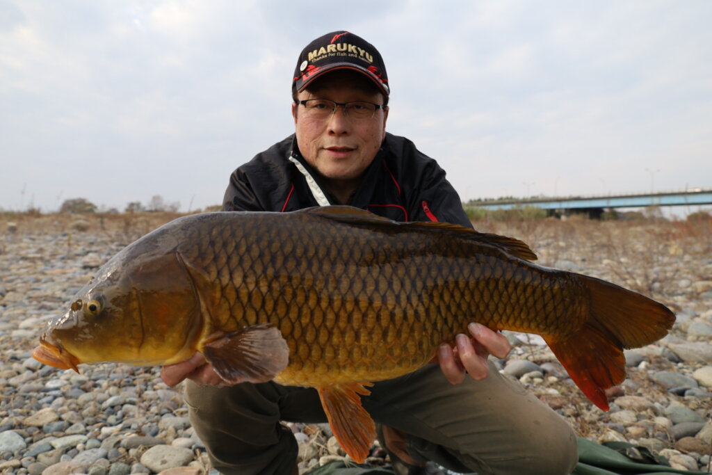 2021年11月20日（土曜日）｜コイ｜栃木県 – 宇都宮市 鬼怒川 柳田大橋