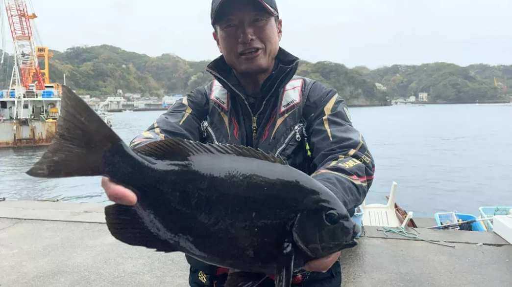 2022年04月03日（日曜日）｜メジナ・グレ・クロ｜静岡県 – 田子 弁天｜ウキフカセ｜フィールドスタッフ青木 一郎