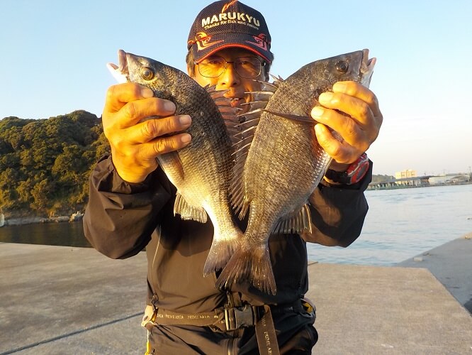 2022年11月11日（金曜日）｜クロダイ・チヌ（ウキダンゴ釣り）｜愛知県 – 篠島｜ウキ紀州・ダンゴ｜フィールドテスター中村 輝夫