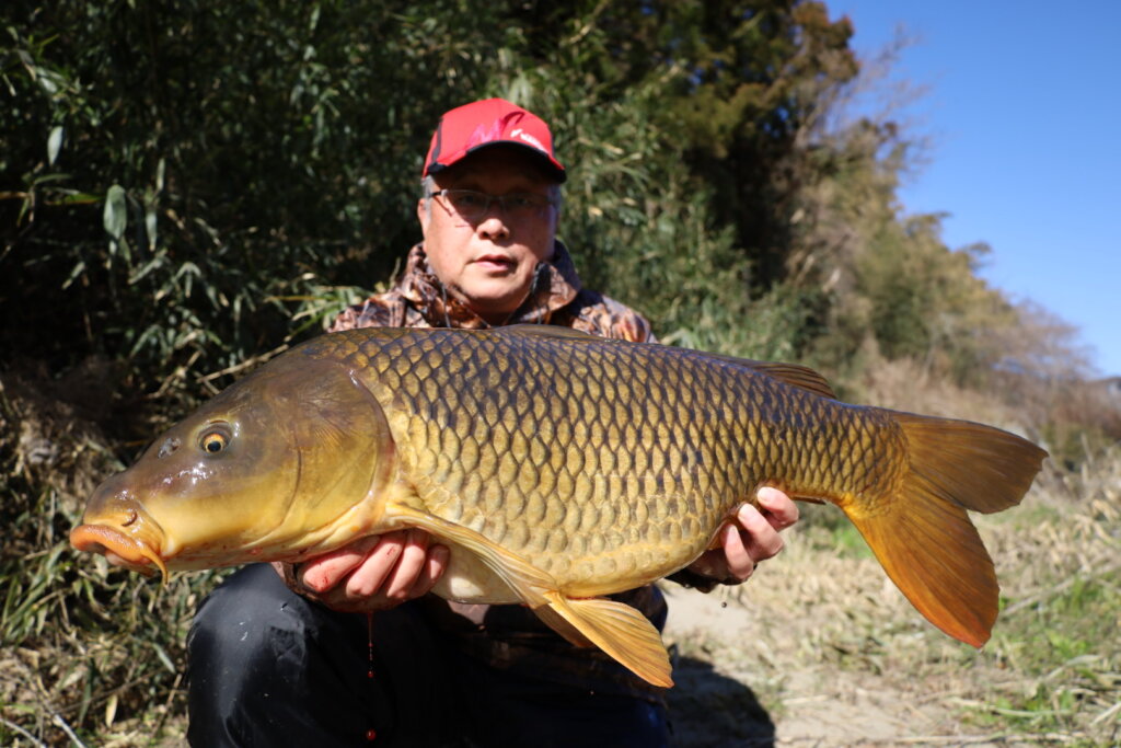 2023年02月05日（日曜日）｜コイ｜栃木県 – 那珂川｜吸い込み（コイ