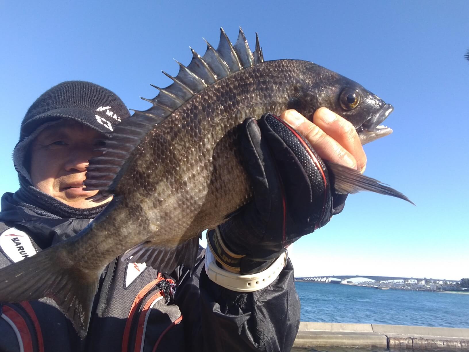 2023年01月31日（火曜日）｜クロダイ・チヌ（フカセ釣り）｜静岡県 – 浜松市西区 新居岸壁｜ウキフカセ｜フィールドスタッフ石黒 昌浩