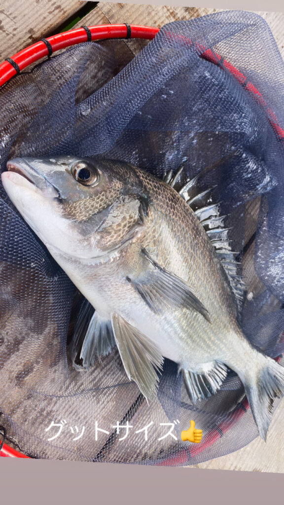 0804D87F-EB96-44CA-B10F-