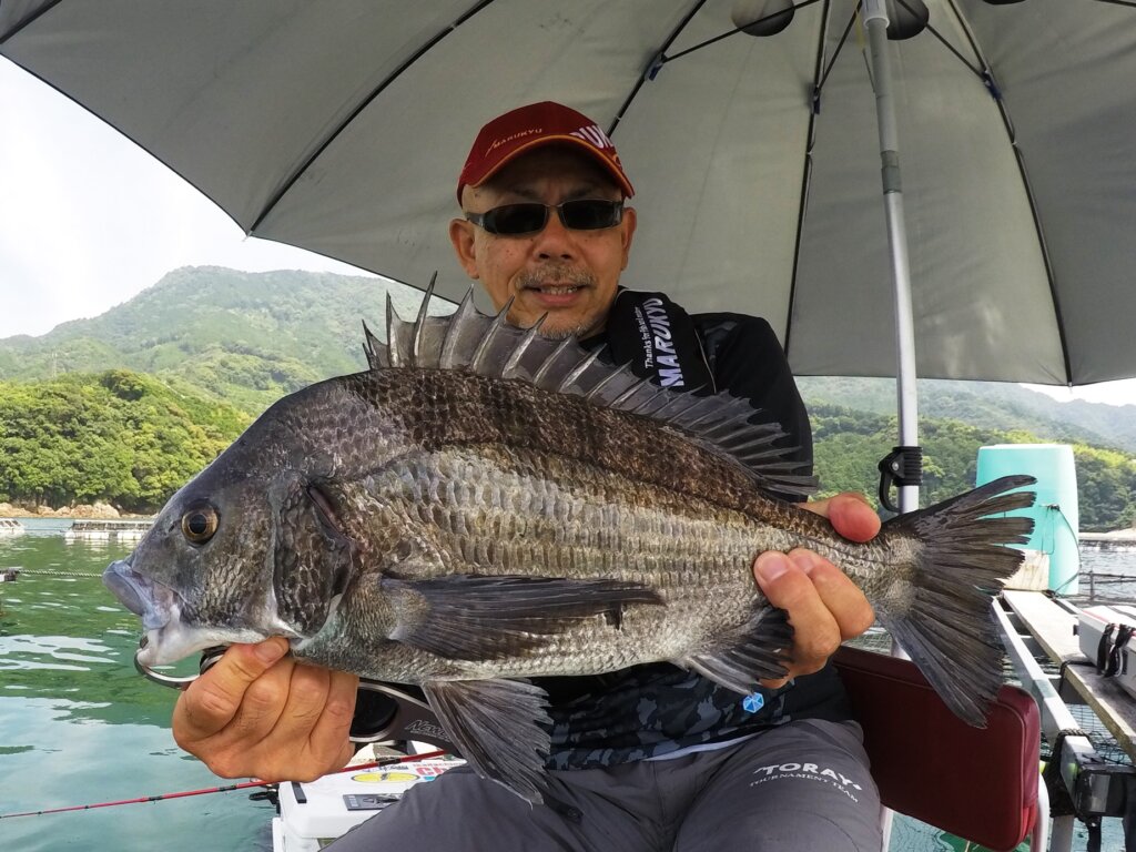 疑似餌小25本中25本 土佐丹吉 大特価 10/9までの釣果 - 西遊漁センター