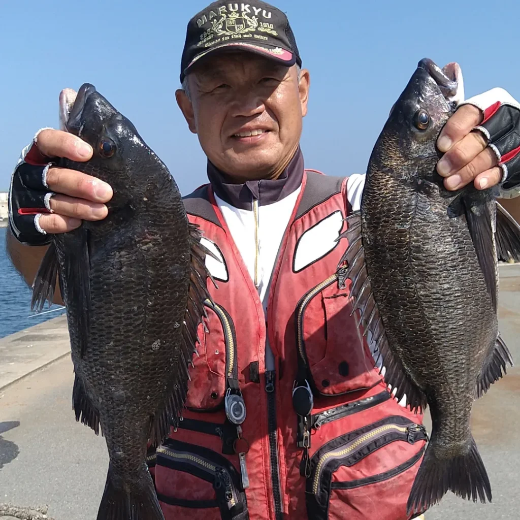 送料込み】うず潮 チヌ 1.5-44 うず潮チヌ 1.5-44｜＠ベリーネット