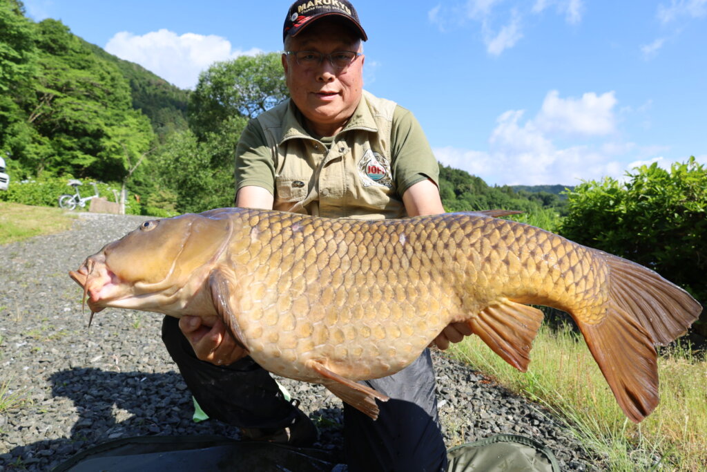 20240603081235_IMG_6629-1-