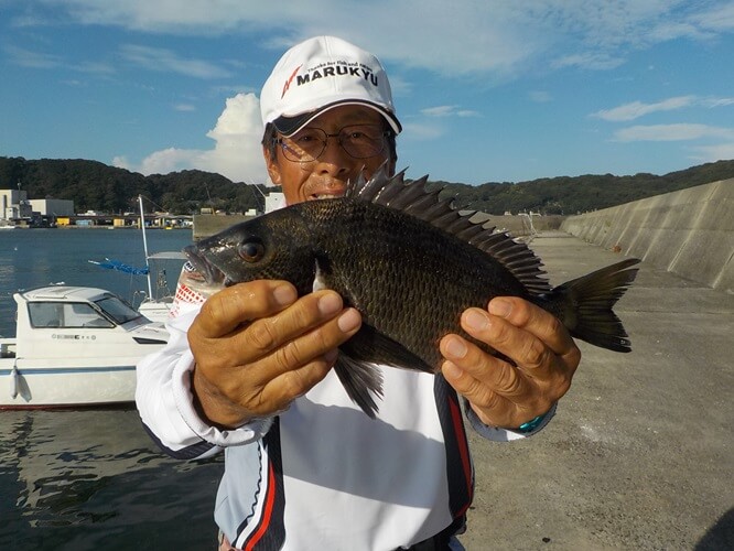 2024年08月23日（金曜日）｜クロダイ・チヌ（ウキダンゴ釣り）｜愛知県 – 豊浜港｜ウキ紀州・ダンゴ｜フィールドテスター中村 輝夫