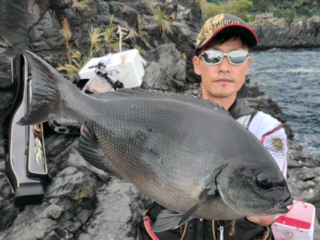 2024年10月26日（土曜日）｜メジナ・グレ・クロ｜静岡県 – 東伊豆富戸 大根｜ウキフカセ｜フィールドスタッフ田代 真也