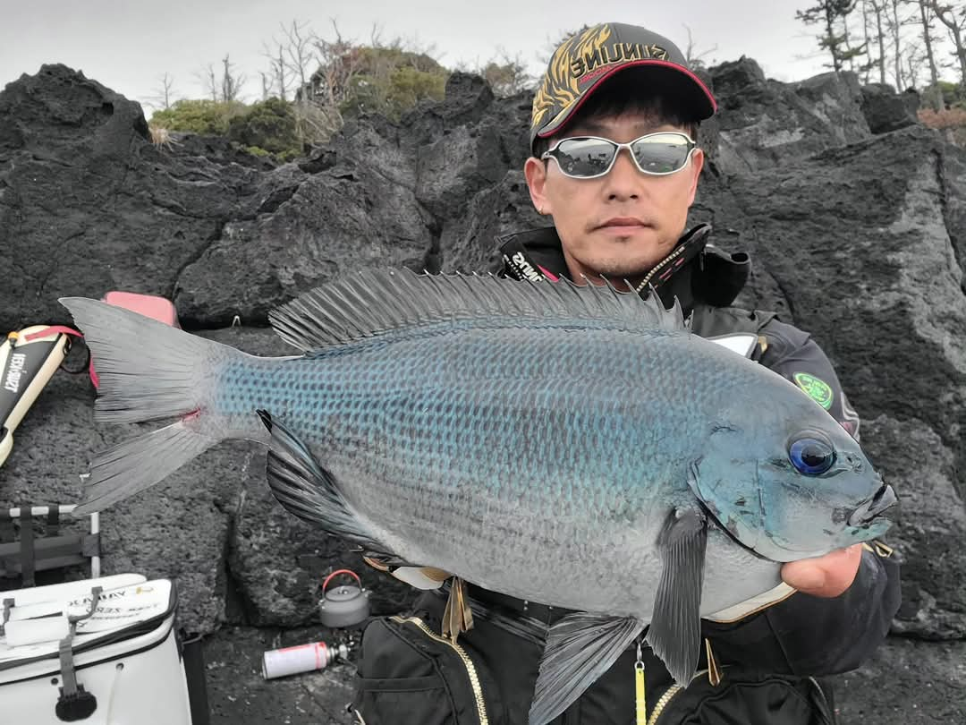 2025年01月19日（日曜日）｜メジナ・グレ・クロ｜静岡県 – 東伊豆城ケ崎・陸平根｜ウキフカセ｜フィールドスタッフ田代 真也