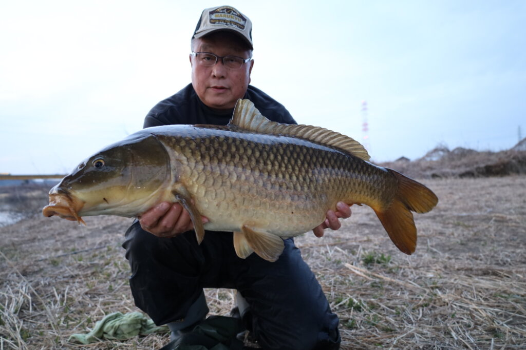 2025年03月01日（土曜日）｜コイ｜茨城県 – 那珂川｜｜フィールド