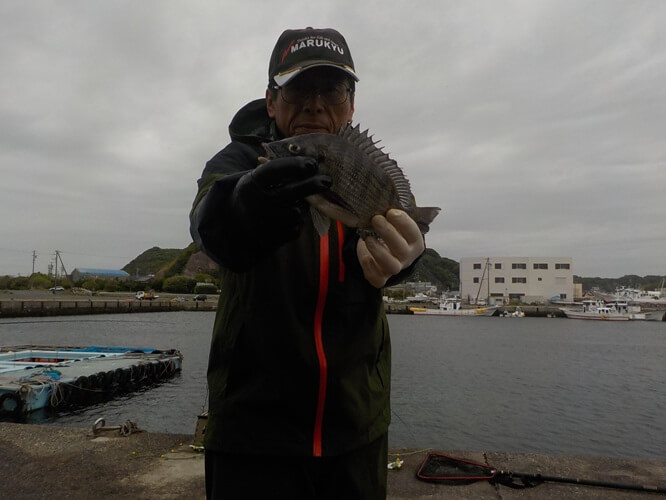 2025年05月09日（金曜日）｜クロダイ・チヌ（ウキダンゴ釣り）｜愛知県 – 豊浜港｜ウキ紀州・ダンゴ｜フィールドテスター中村 輝夫