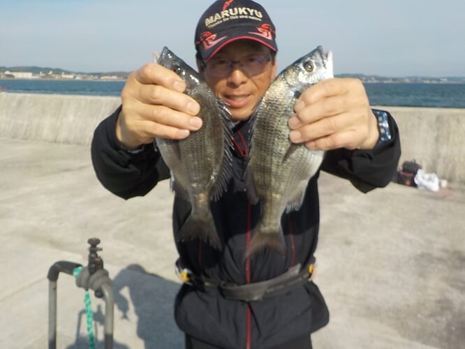 2025年05月13日（火曜日）｜クロダイ・チヌ（ウキダンゴ釣り）｜愛知県 – 常滑港｜ウキ紀州・ダンゴ｜フィールドテスター中村 輝夫