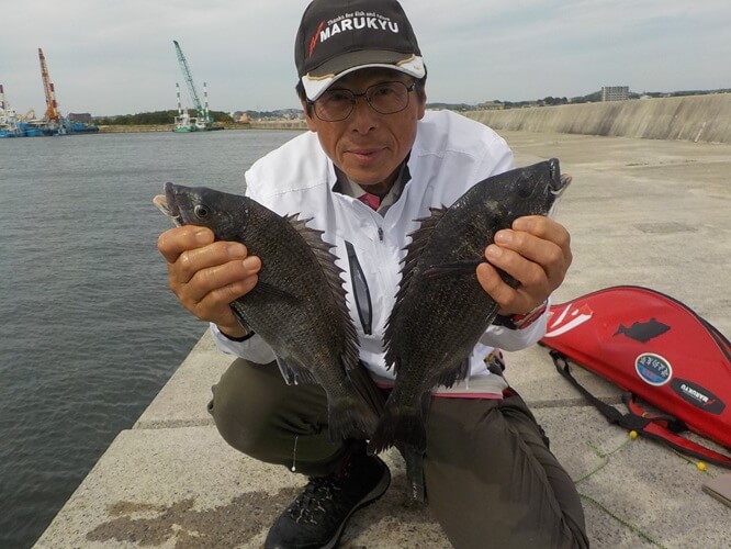 2025年06月06日（金曜日）｜クロダイ・チヌ（ウキダンゴ釣り）｜愛知県 – 常滑港｜ウキ紀州・ダンゴ｜フィールドテスター中村 輝夫