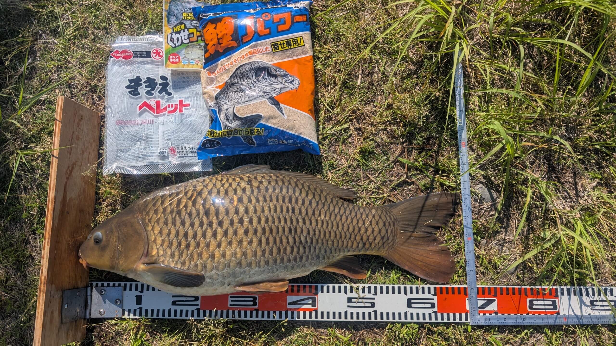 2025年06月05日（木曜日）｜コイ｜群馬県 – 桃ノ木川｜吸い込み（コイ）｜フィールドテスター岸 圭介