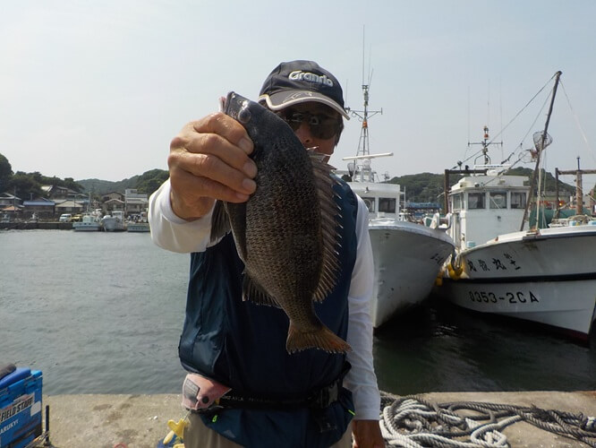 2025年07月04日（金曜日）｜クロダイ・チヌ（ウキダンゴ釣り）｜愛知県 – 師崎港｜ウキ紀州・ダンゴ｜フィールドテスター中村 輝夫