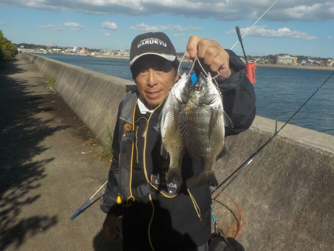 2025年10月28日（火曜日）｜クロダイ・チヌ（ウキダンゴ釣り）｜愛知県 – 常滑港｜ウキ紀州・ダンゴ｜フィールドテスター中村 輝夫