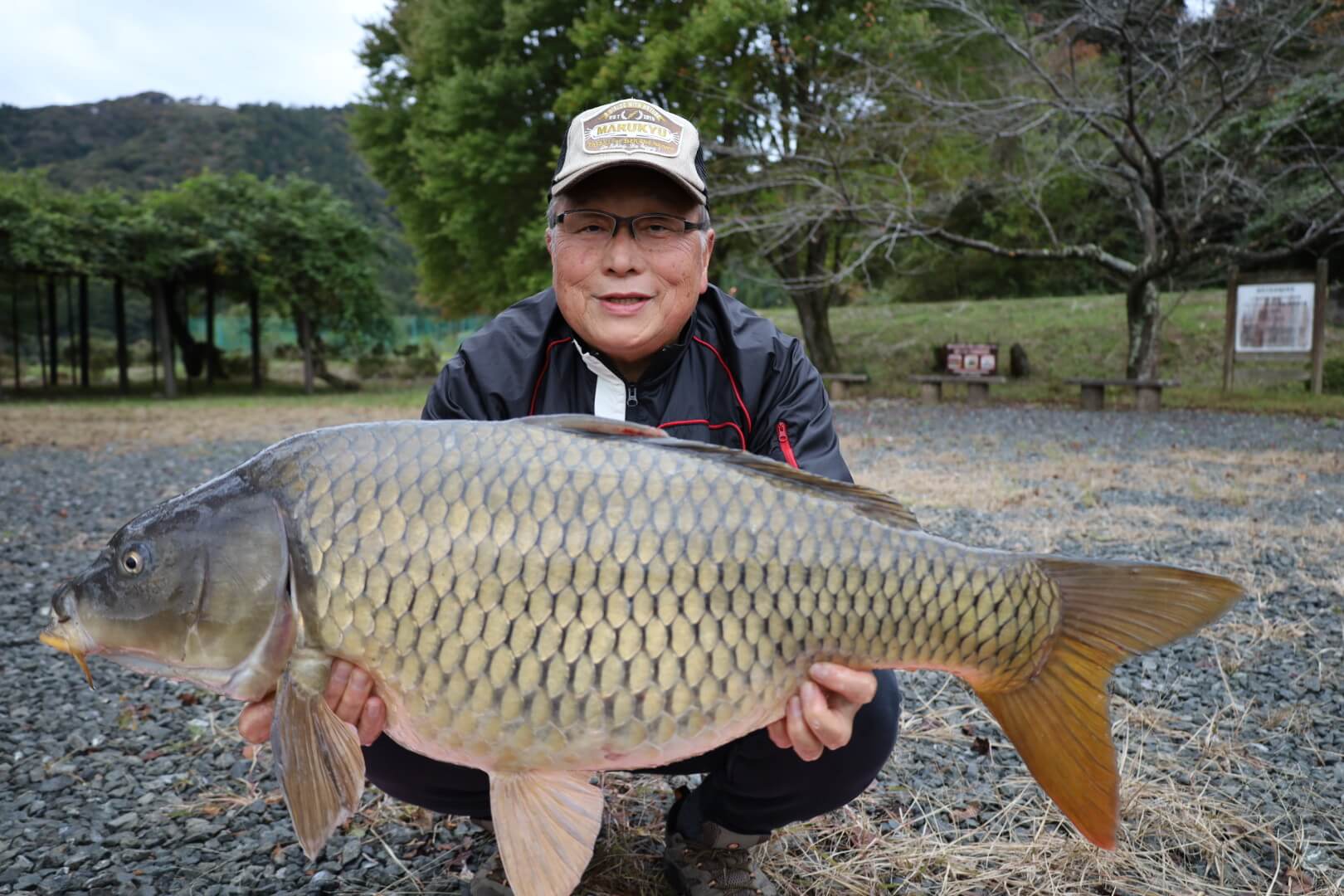 2025年11月04日（火曜日）｜コイ｜滋賀県 – 余呉湖｜｜フィールドスタッフ阿久津 宣好