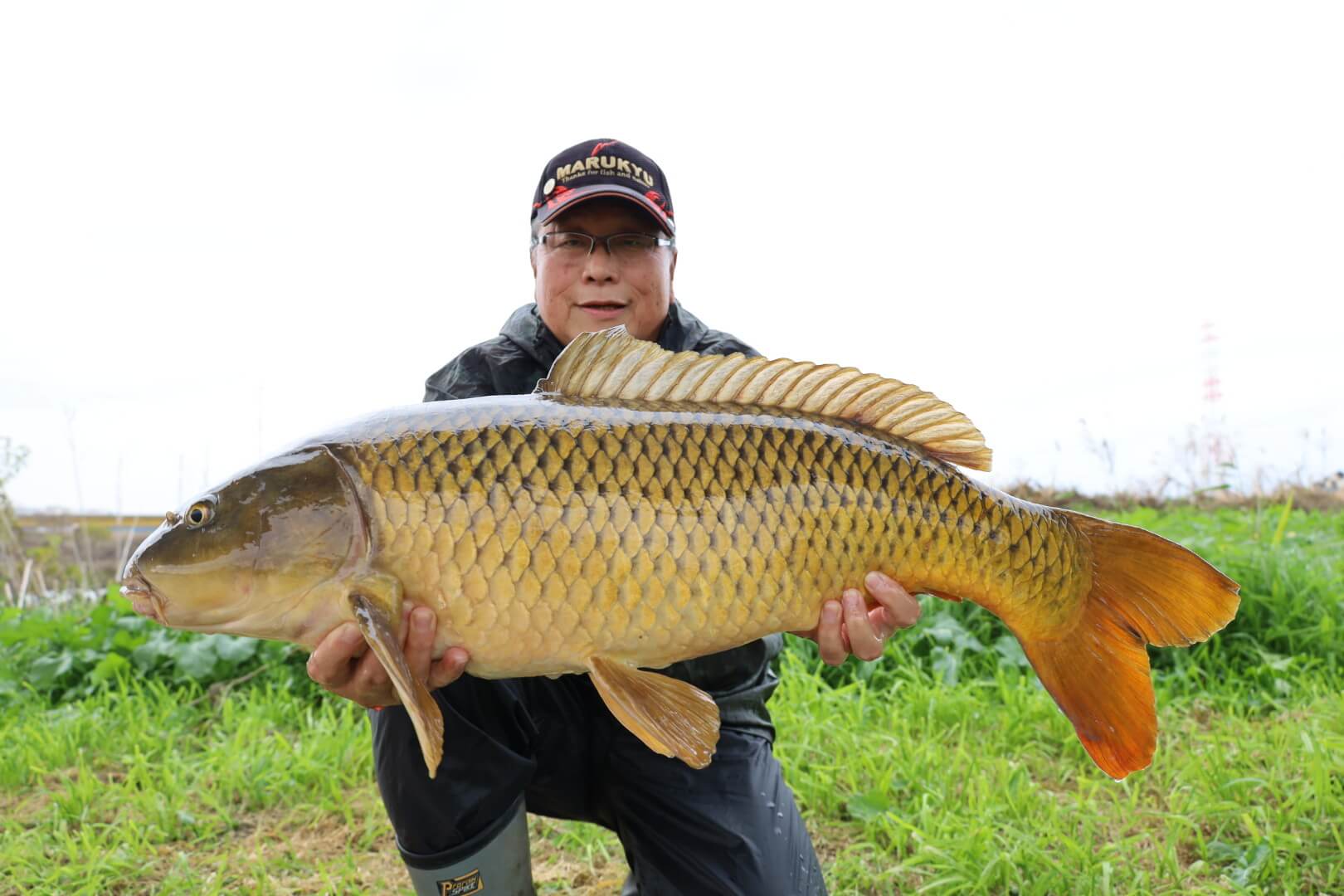 2025年11月27日（木曜日）｜コイ｜茨城県 – 那珂川｜吸い込み（コイ）｜フィールドスタッフ阿久津 宣好