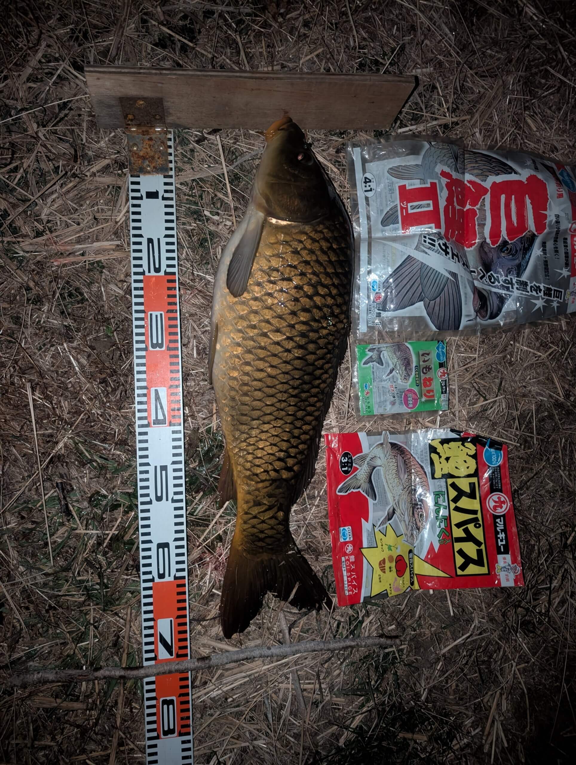 2026年01月10日（土曜日）｜コイ｜埼玉県 – 利根川｜吸い込み（コイ）｜フィールドテスター岸 圭介