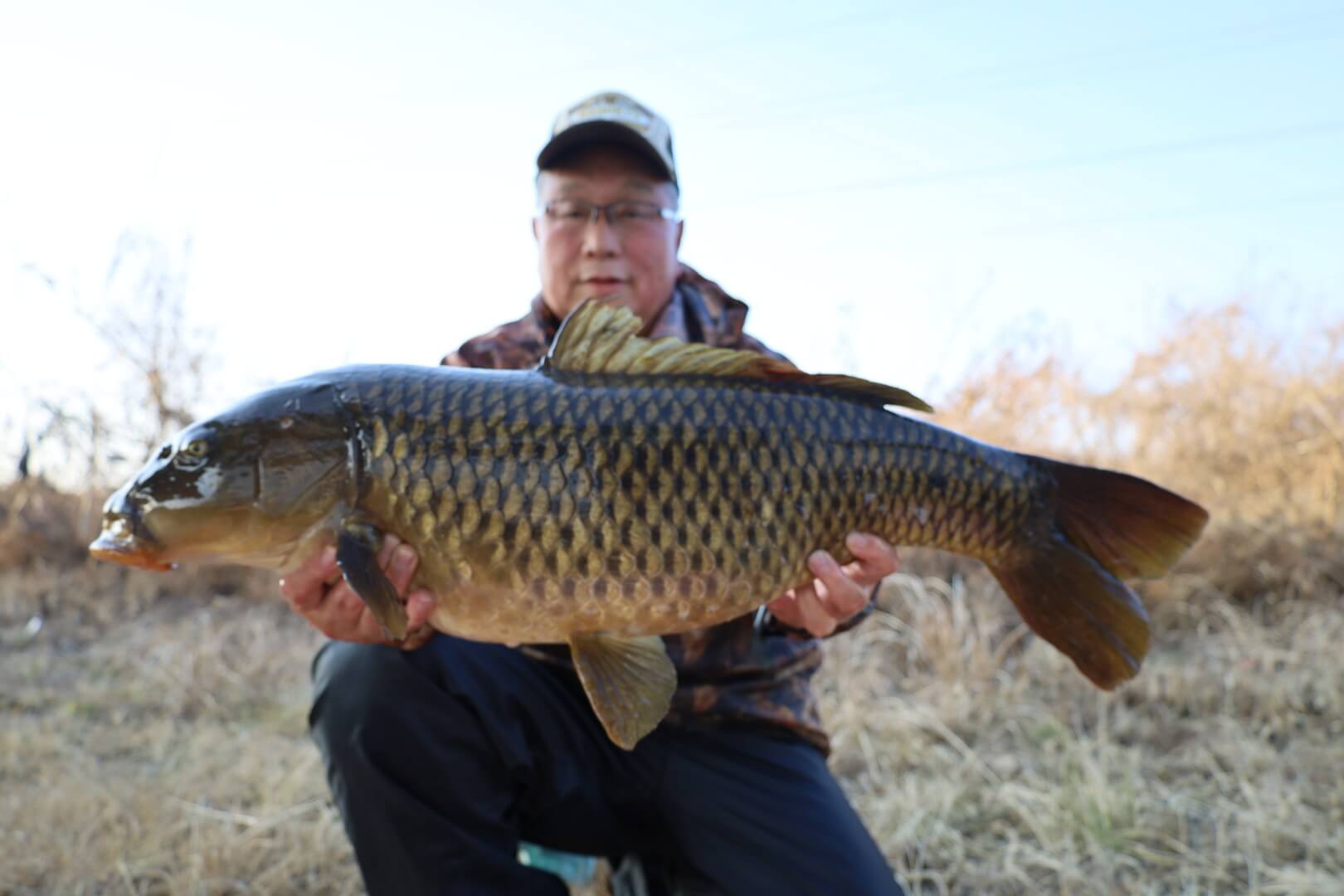 2026年02月15日（日曜日）｜コイ｜栃木県 – 鬼怒川｜吸い込み（コイ）｜フィールドスタッフ阿久津 宣好
