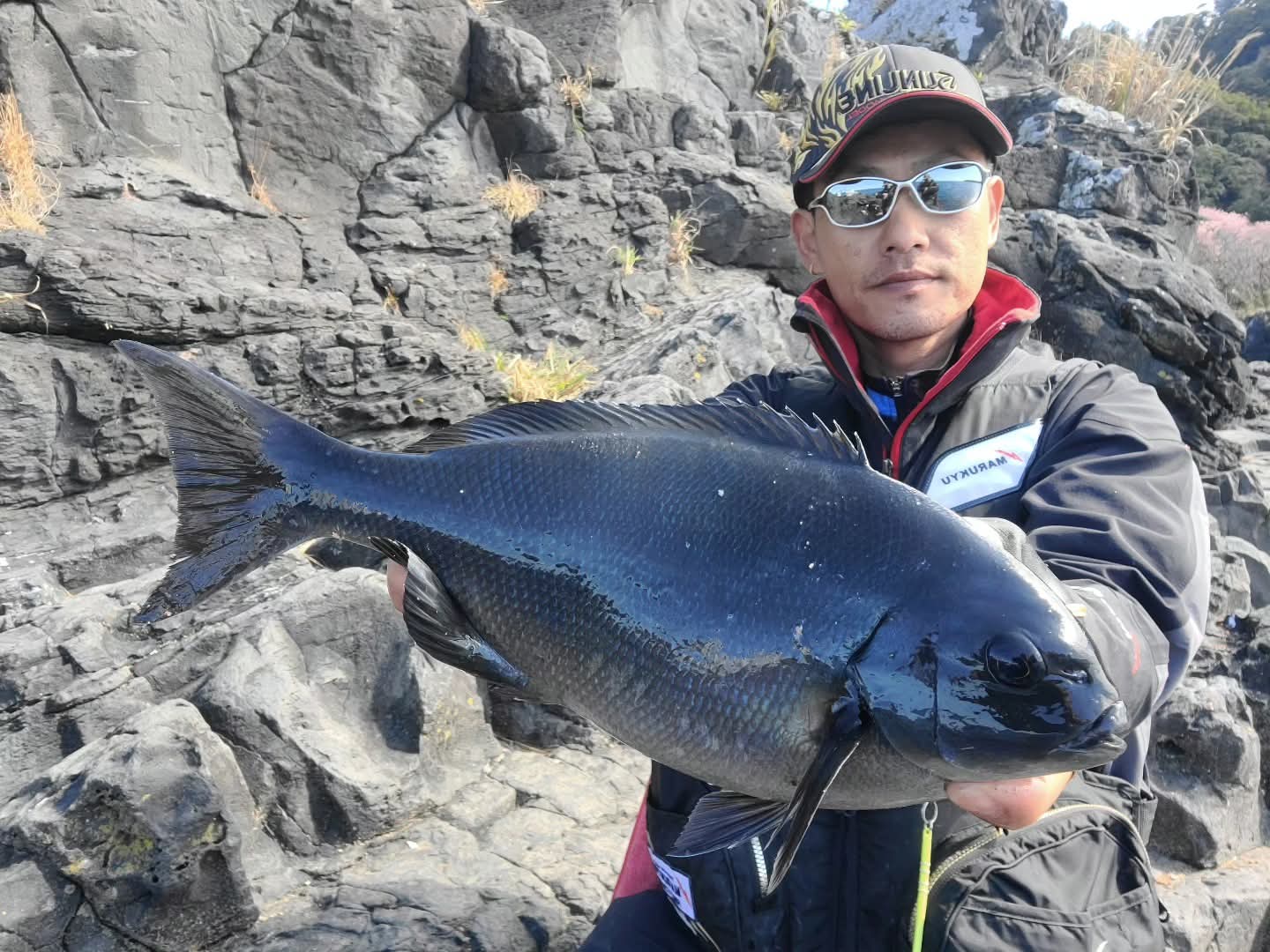 2026年03月08日（日曜日）｜メジナ・グレ・クロ｜静岡県 – 東伊豆富戸・大根｜ウキフカセ｜フィールドスタッフ田代 真也