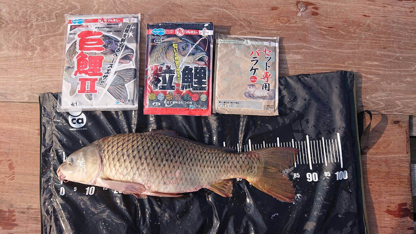 2026年04月18日（土曜日）｜コイ｜秋田県 – 八郎潟｜吸い込み（コイ）｜フィールドスタッフ橋場 信幸