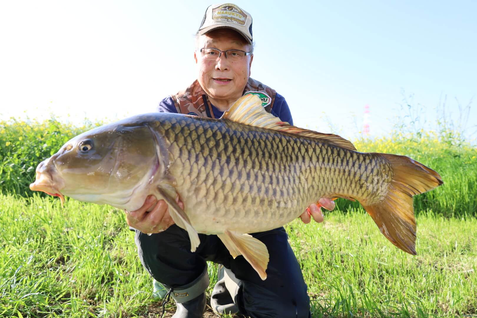 2026年04月16日（木曜日）｜コイ｜茨城県 – 那珂川｜ブッ込み｜フィールドスタッフ阿久津 宣好