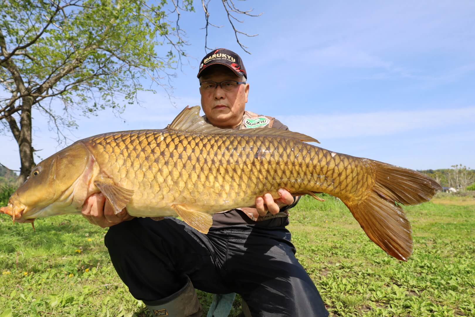 2026年04月23日（木曜日）｜コイ｜茨城県 – 那珂川｜ブッ込み｜フィールドスタッフ阿久津 宣好
