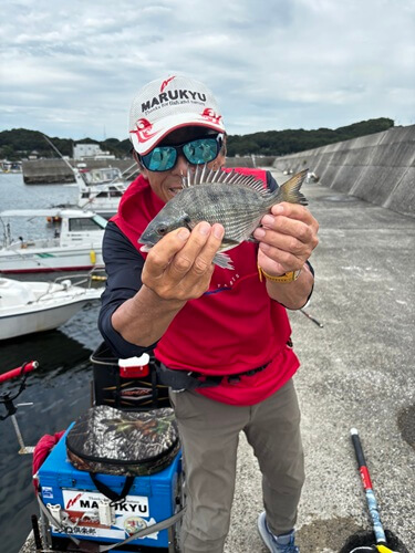 2026年08月28日（金曜日）｜クロダイ・チヌ（ウキダンゴ釣り）｜愛知県 – 豊浜港｜ウキ紀州・ダンゴ｜フィールドテスター中村 輝夫