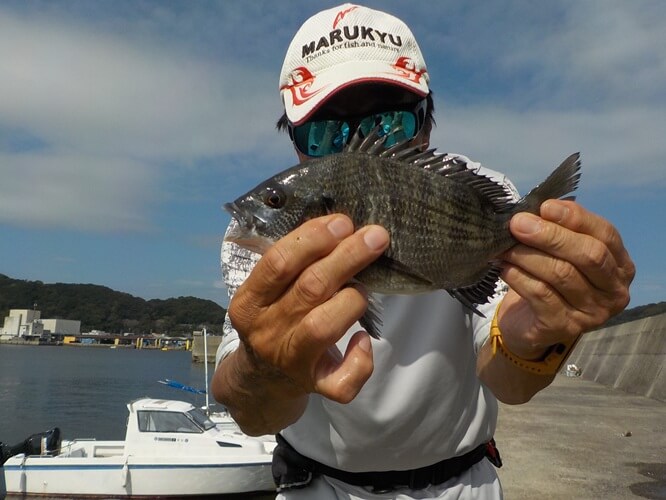 2026年09月01日（火曜日）｜クロダイ・チヌ（ウキダンゴ釣り）｜愛知県 – 豊浜港｜ウキ紀州・ダンゴ｜フィールドテスター中村 輝夫